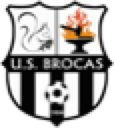 Logo brocas2